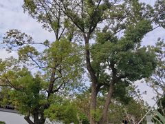 -上海滨江森林公园