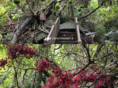 -七仙岭温泉国家森林公园