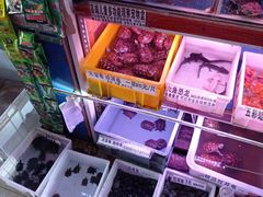 -山东柏宁水族批发广场