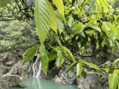 -磐安十八涡风景区