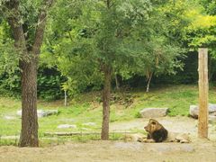 -北京野生动物园