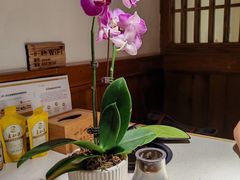 -一叶一世界•素食餐厅(环球中心店)