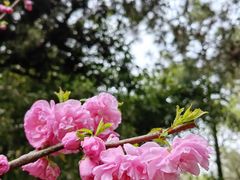 -颐和园