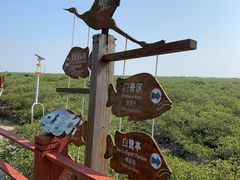 -北海金海湾红树林生态旅游区