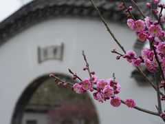 -无锡梅园公园