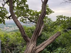 -北京西山国家森林公园
