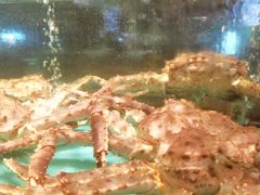 -潮粤香海鲜酒楼(沙湖店)