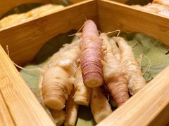 祁连山鲜黄参-十二舍·湯物素煮(江泰潤政店)