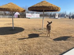 -遇见世外桃源教育农场