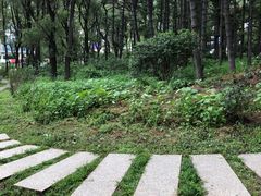 -长春市南湖公园