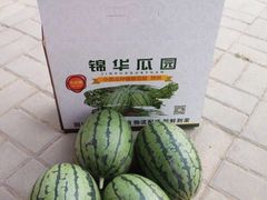 -庞各庄西瓜蔬菜采摘园·锦华瓜园