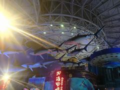 -烟台海昌鲸鲨海洋公园