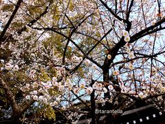 -热田神宫