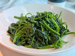 -凤凰湘语(浦东旗舰店)