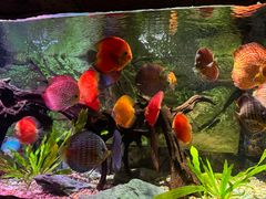 -上海海洋水族馆