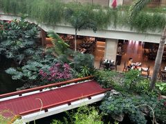 -广州白天鹅宾馆