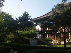-北京大学赛克勒考古与艺术博物馆