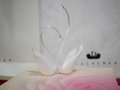 -BLACKSWAN黑天鹅(环球店)