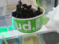 -Salud撒露欧洲冻酸奶(五道口购物中心店)