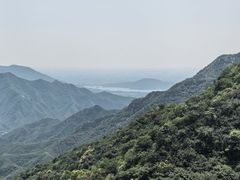 -大岭沟猕猴桃谷风景区