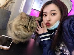 -极木²邸 人与宠物·互动社区