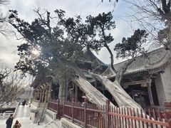 -晋祠公园