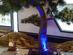 -绿茶餐厅(成都大悦城店)