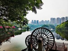 -重庆彩云湖湿地公园