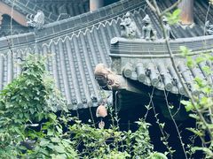 -杭州半山国家森林公园