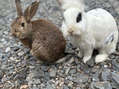 -同里湖大饭店-怡景轩中餐厅(同里古镇店)