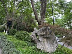-西湖风景区-江洋畈生态公园