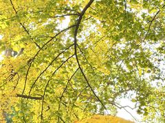 -康熙养生SPA·轻奢足道(江宁万达店)