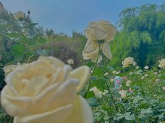 -人民公园(罗湖区)