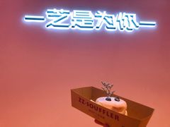 -狐狸和向日葵(北京路店)