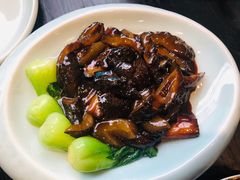 惠丰葱烧海参-惠丰堂饭庄(北洼路店)