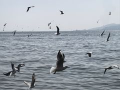 -芸南道·过桥米线(昆明老街旗舰店)