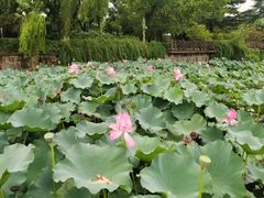 -上海市保健医疗中心