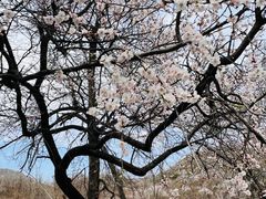 -白河湾生态旅游一条川