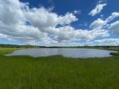 -塞罕坝国家级自然保护区