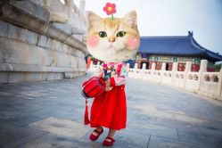 -DeerFriend童趣主题上门拍·到家·外拍摄影机构 (国贸店)