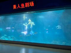 -福州罗源湾海洋世界旅游区