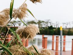 -芒洲湿地公园
