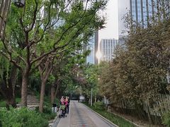 -团结湖公园