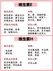 -香薇妮丝女子减肥院
