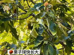 -黄公望隐居地
