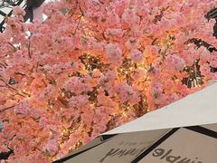 -Simple Yummy简单美味(上邦百汇城店)