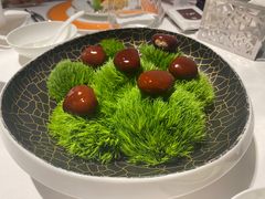 -鹿园 MOOSE(长宁店)
