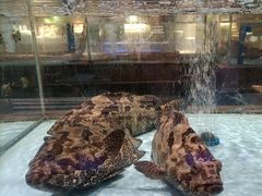 -阿伟海鲜楼·福建菜(延寿店)