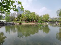-新虹桥中心花园
