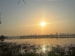 -东湖落雁景区